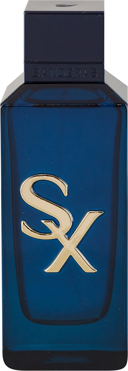 SEDUCTION X EdP - muški, 100 ml