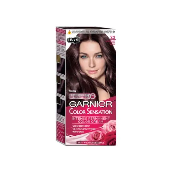 Garnier Color Sensation 2.2 Iridescent Onyx Black farba za kosu