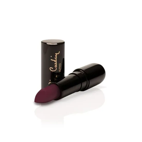 Pierre Cardin Porcelain Edition ruž za usne Red Wine 4g