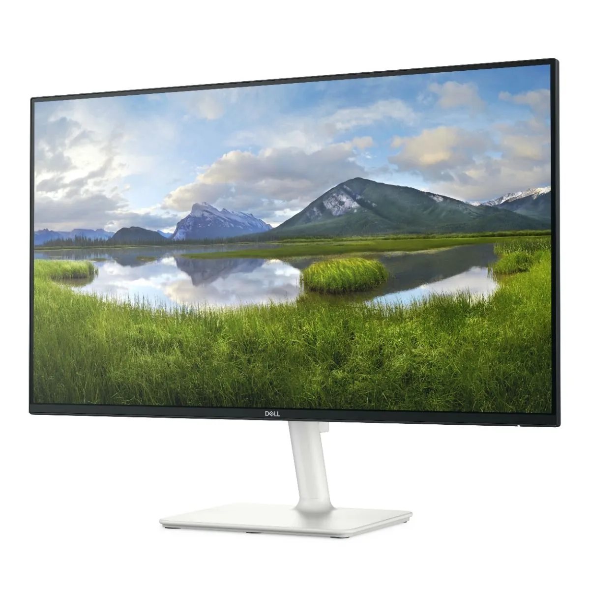 Dell IPS MONITOR S2425H 100Hz, 4ms