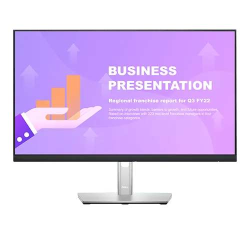 Dell MONITOR P2422HE