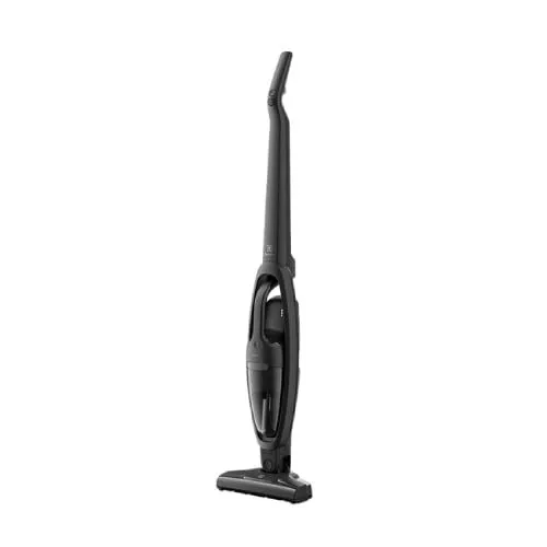 Electrolux USISIVAČ ES31CB18GG