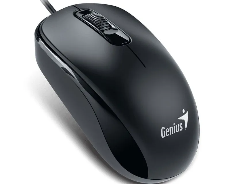 GENIUS DX-110 USB-C Optical crni miš