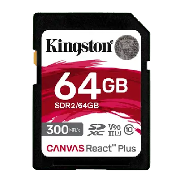 Kingston MEMORIJSKA KARTICA SDR2/64GB