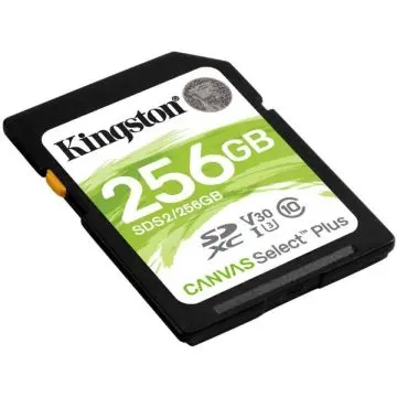 Kingston MEMORIJSKA KARTICA SDS2/256GB