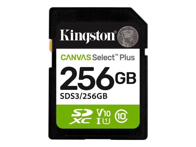 Kingston MEMORIJSKA KARTICA SDS3/256GB