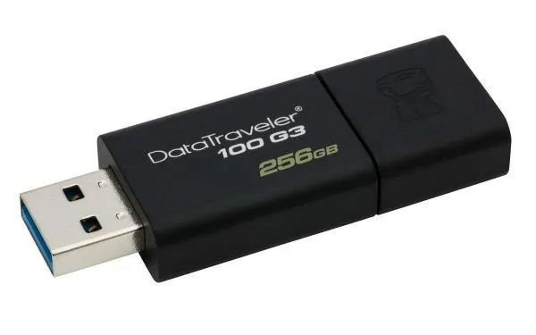 Kingston USB MEMORIJA DataTraveler 100 G3 DT100G3/256GB