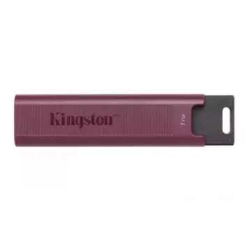 Kingston USB MEMORIJA DataTraveler Max 1TB DTMAXA/1TB