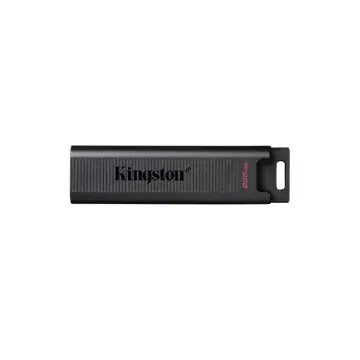 Kingston USB MEMORIJA DTMAX/256GB