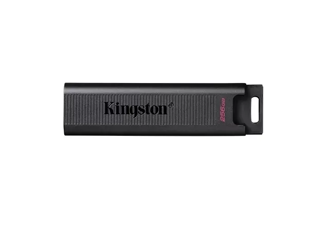 Kingston USB MEMORIJA DTMAX/256GB