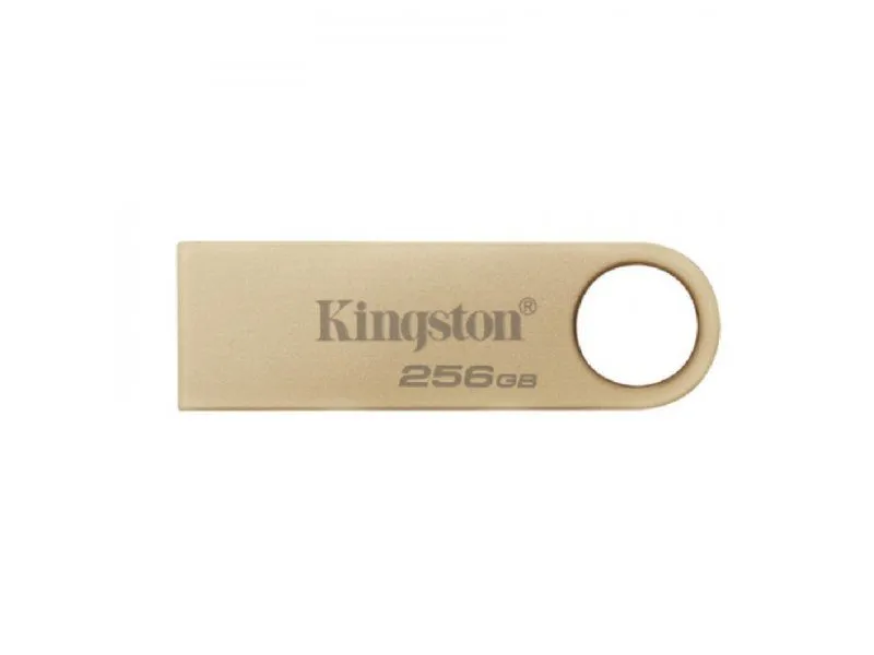 Kingston USB MEMORIJA DTSE9G3/256GB