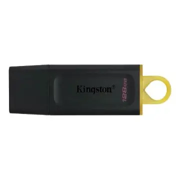 Kingston USB MEMORIJA DTX/128GB