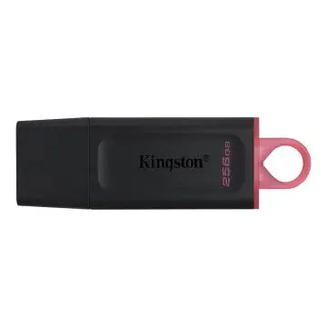 Kingston USB MEMORIJA DTX/256GB