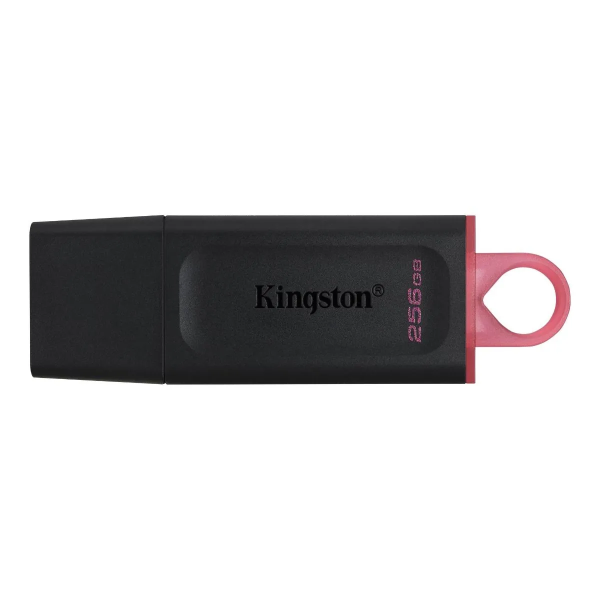Kingston USB MEMORIJA DTX/256GB