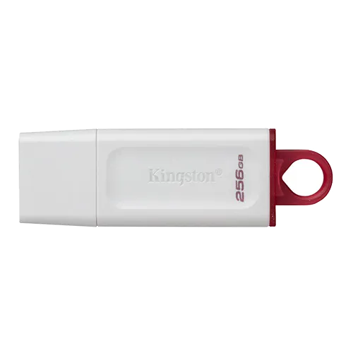 Kingston USB MEMORIJA KC-U2G256-5R