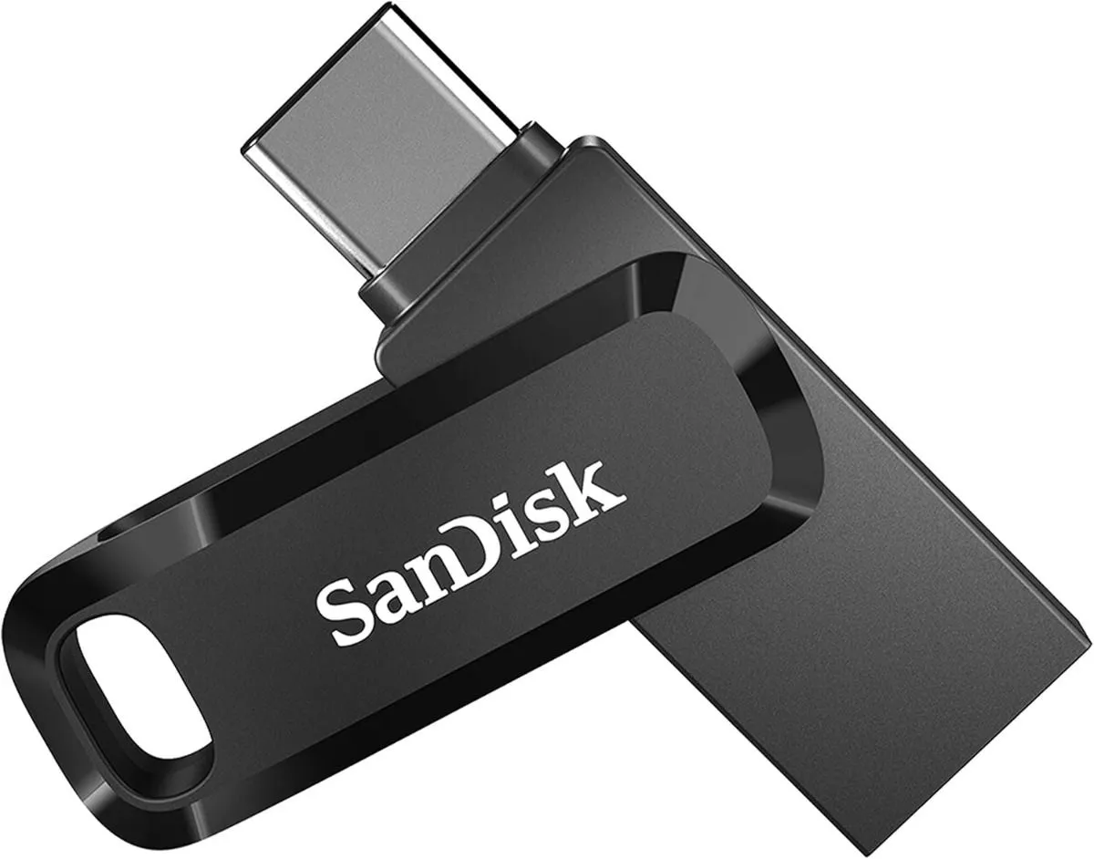 SanDisk USB MEMORIJA Ultra Dual Drive Go USB Type-C 256GB