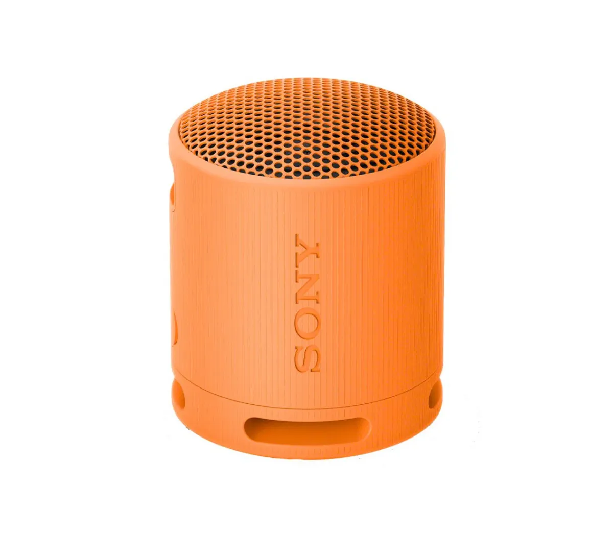 Sony ZVUČNIK SRS-XB100D