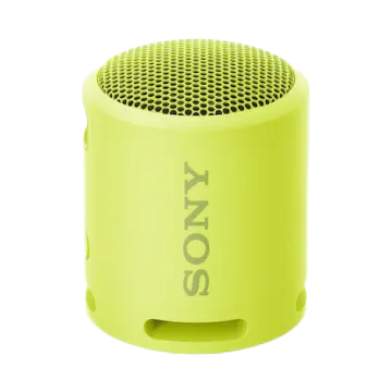 Sony ZVUČNIK SRS-XB13Y