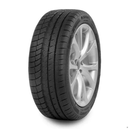 255/35R19 Davanti guma 96V Wintoura+ zim
