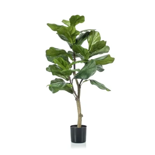 Dekordom Cvet u saksiji - ficus a1026 - n60