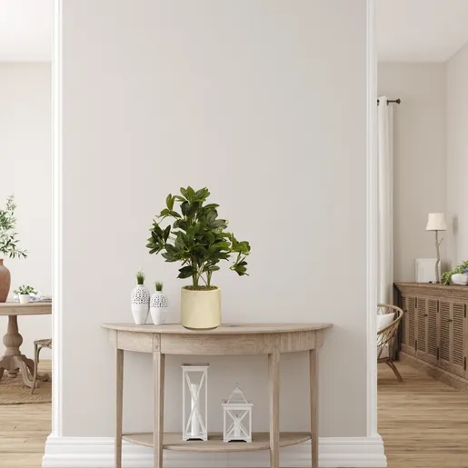 Dekordom Cvet u saksiji schefflera - n58