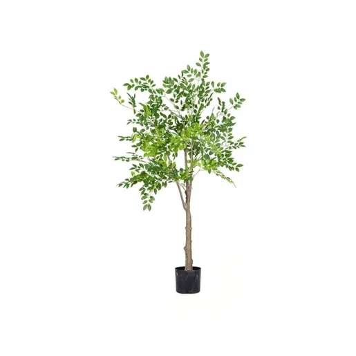 Dekordom Drvo - money tree 150cm - n60