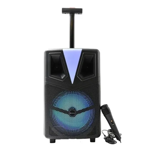 DENVER zvucnik bluetooth TSP-307