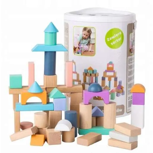 Eco Toys Drvene Kocke 100 komada sa kanticom i sorterom  2505