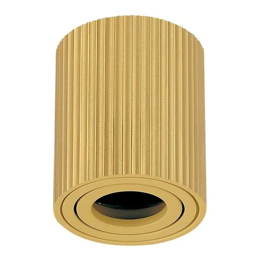 Forma Plafonska lampa AFS118-1C SG