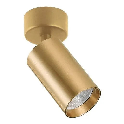 Forma Plafonska lampa AFS121-1C SG