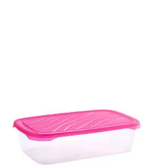 Frigo Basic box 2L