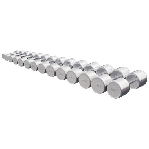 Gorilla sports Hromirani tegovi 2x10kg