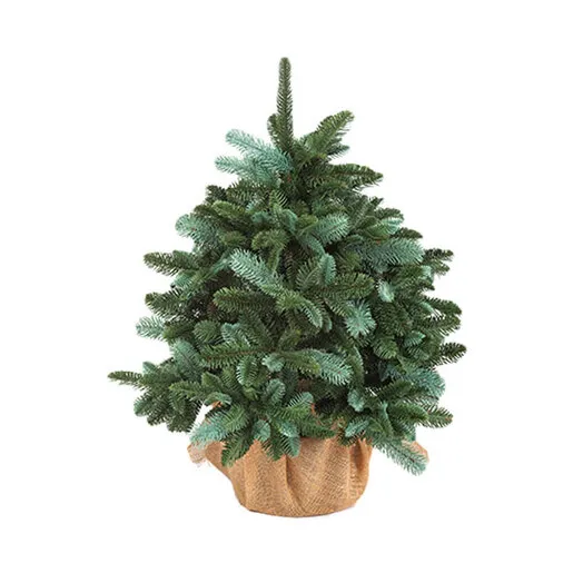 Grips Novogodišnja jelka Alpi 3D 80 cm