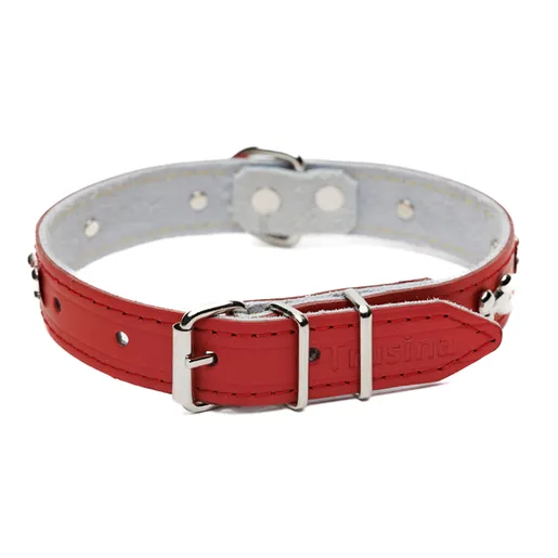 Ogrlica kožna za psa 025 Lux, sa nitnama TR 5027