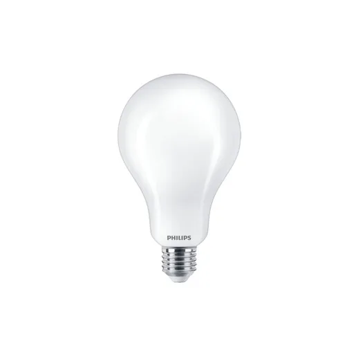 Philips Led sijalica 13w(100w) a60 e27 cw fr nd 1pf/6 929002306995