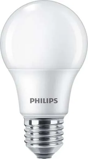 Philips Led sijalica  a60 e27 929003817813