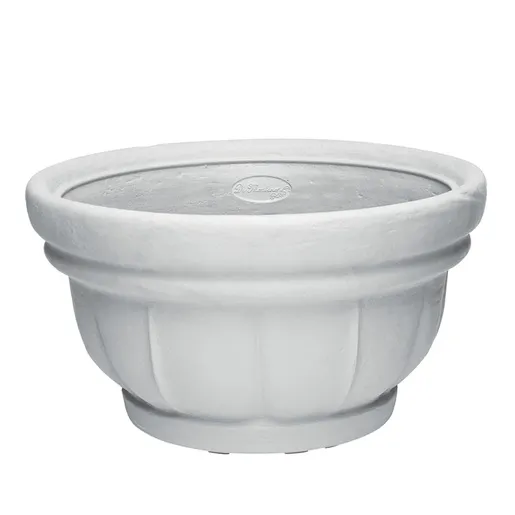 Saksija Di Martino Lara, 10 lit, bela