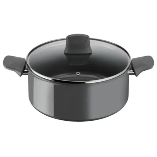 Tefal Šerpa sa poklopcem 24Cm C4264673 Renew