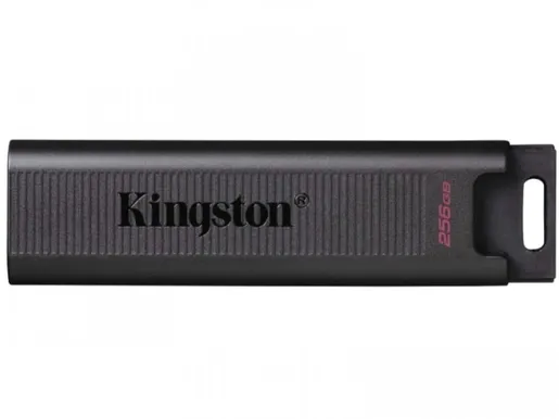 USB memorija Kingston 256GB DataTraveler Max (DTMAX/256GB)