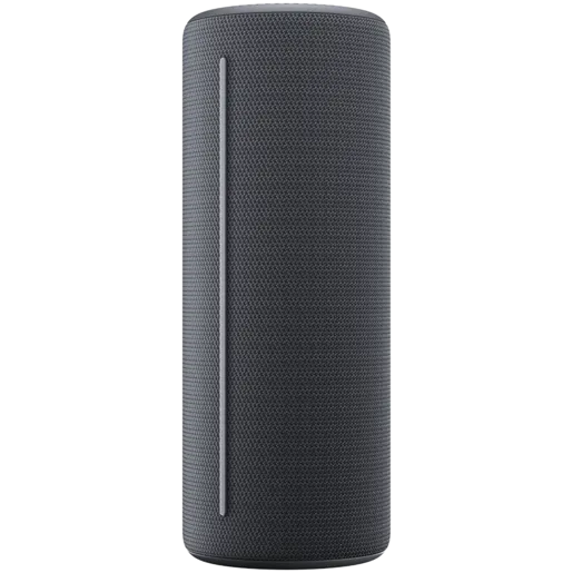 WE. HEAR 1 By Loewe Portable Speaker 40W, Storm Grey