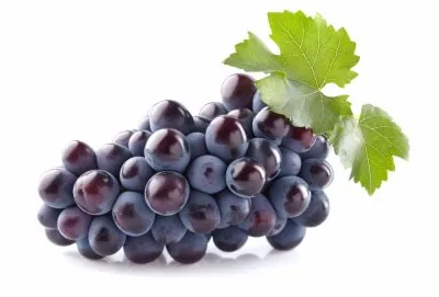 GROŽĐE CRNO UVOZ
