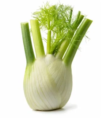KOMORAČ