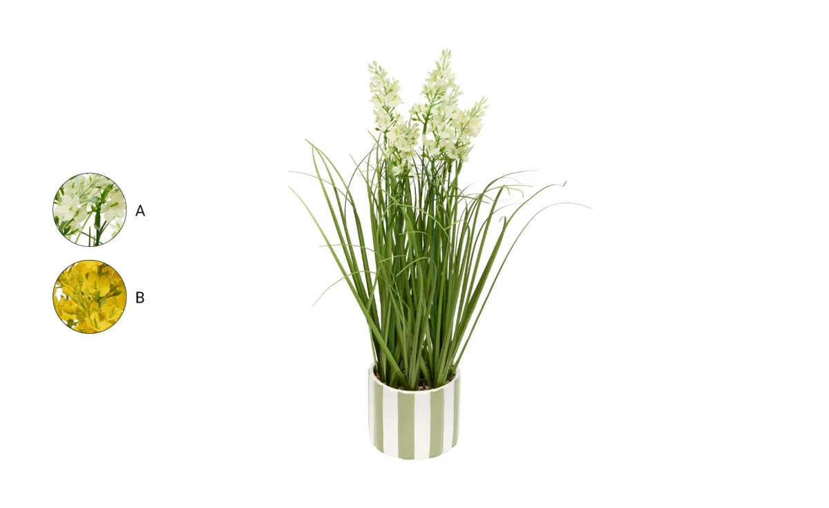 Buket cveća Dura 47 cm više vrsta