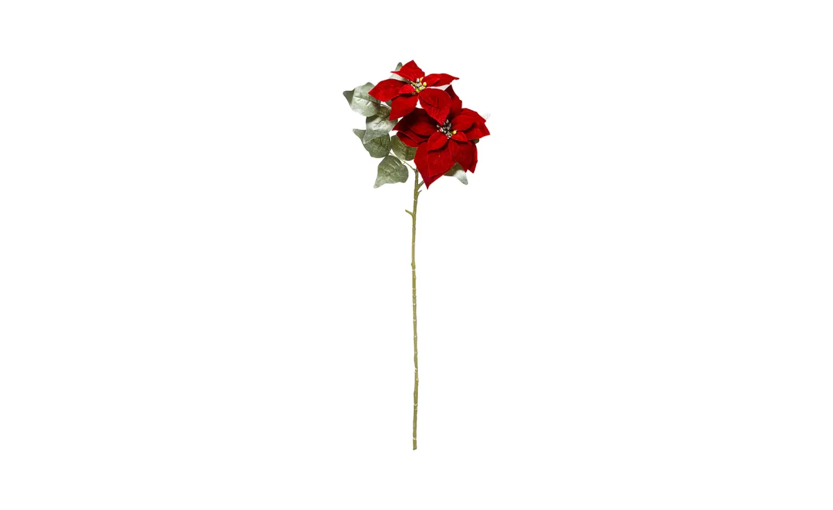 Cvet Poinsettila 76cm crveni