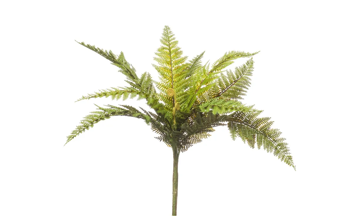 Deko grana Fern 50cm