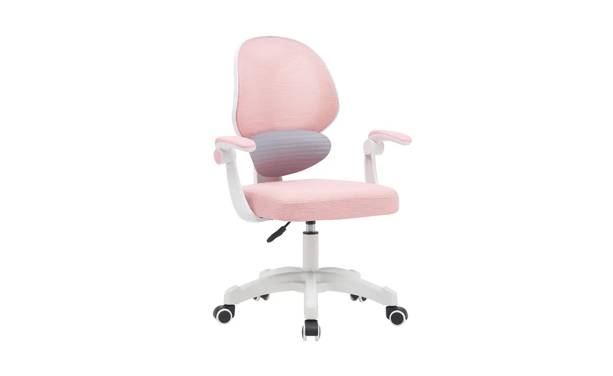 Ergokid kancelarijska stolica 66x48x89-99 cm