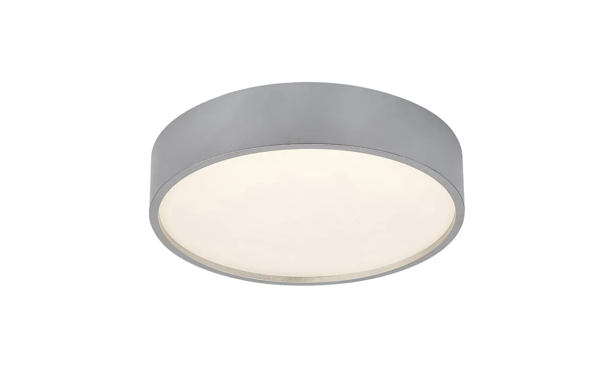 Kupatilska plafonjera Larcia LED srebrna