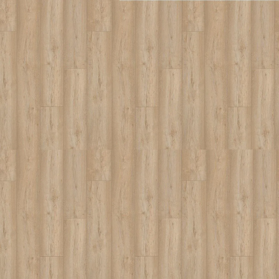 Laminat Pastel Oak 8mm AC4 8279