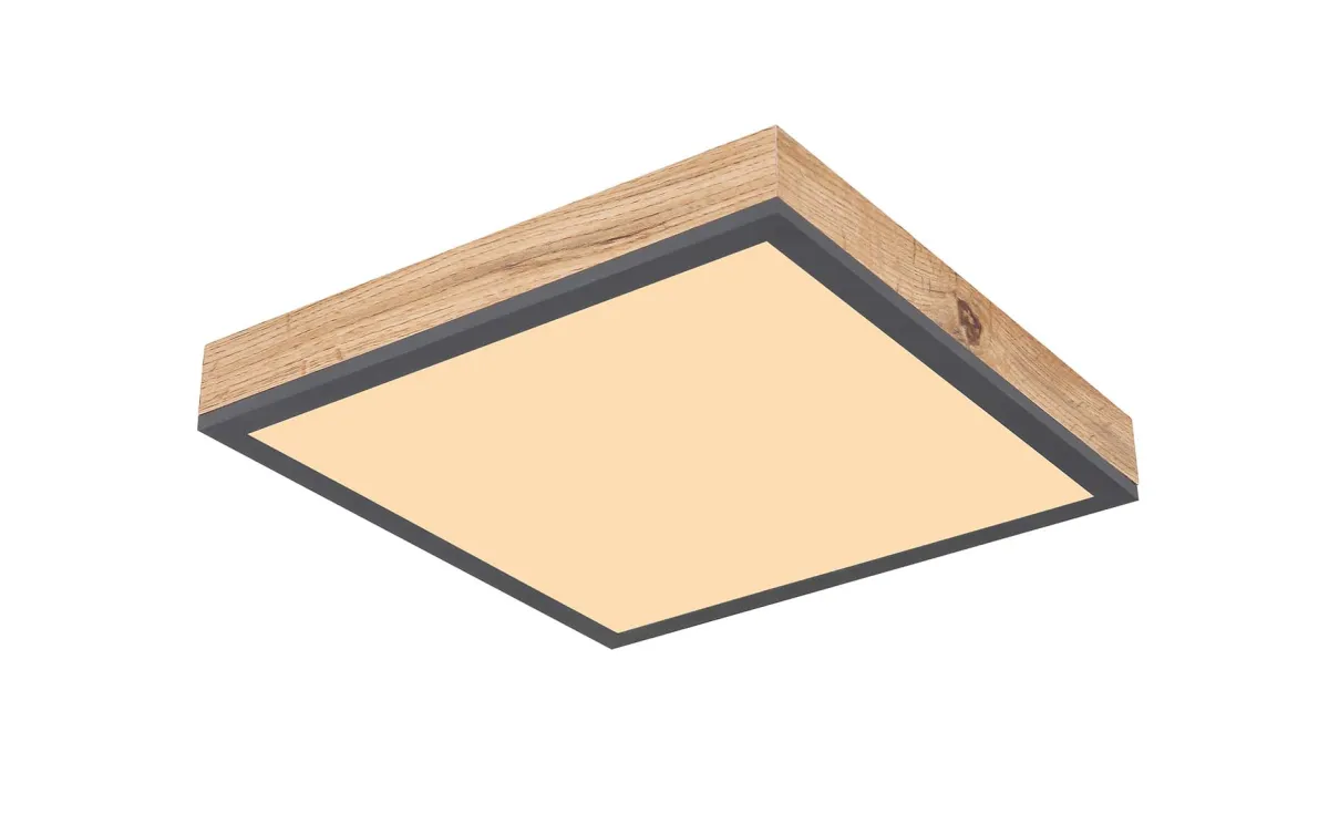 Plafonjera Doro LED natur