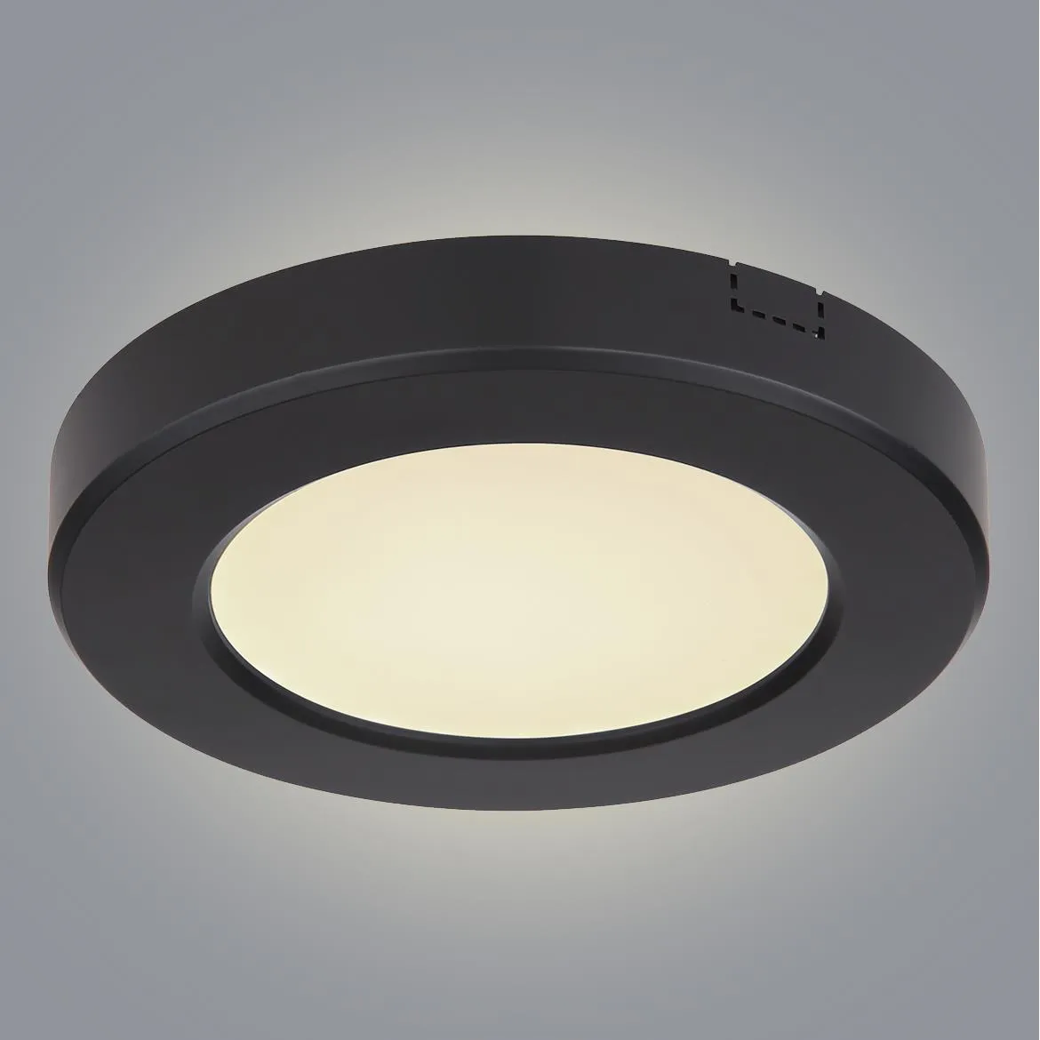 Plafonjera Lasse LED D12.5cm crna